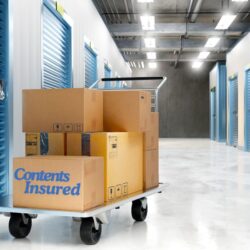 boxes protected by self storage insurance